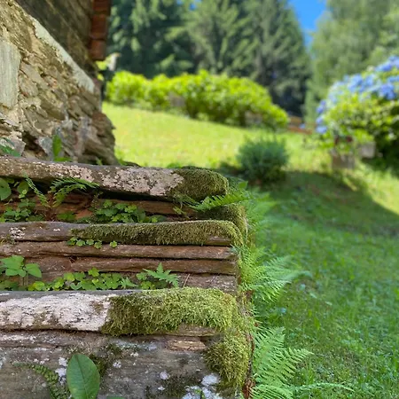 Lodenwalcher Schwarzschachen