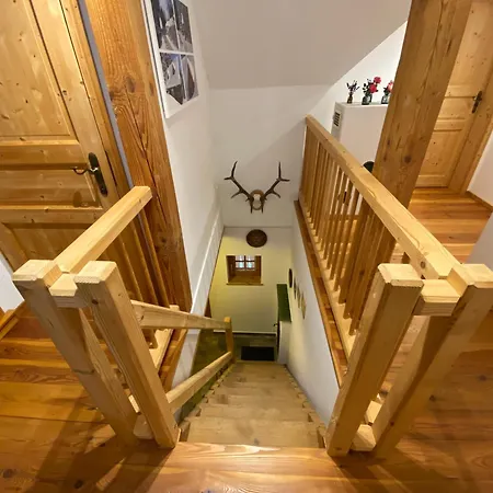 Lodenwalcher Holiday home *