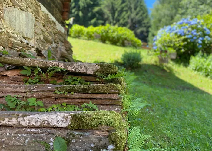 Lodenwalcher Schwarzschachen